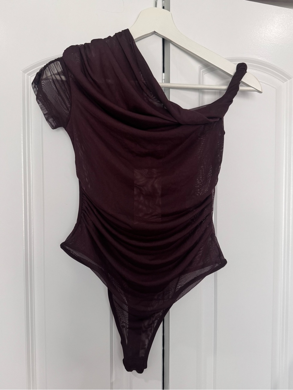 Zara One-Shoulder Sheer Mesh Bodysuit in Plum